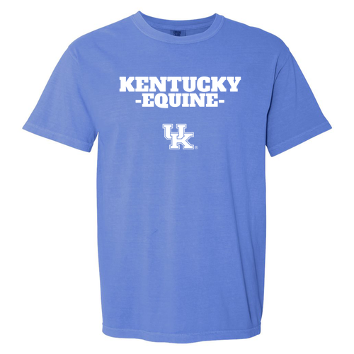 Comfort Colors Heavyweight Adult T-Shirt -- Flo Blue