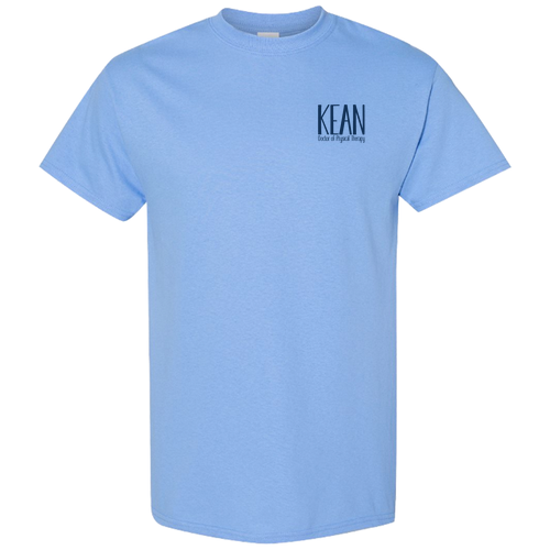 Gildan Heavy Cotton Basic T-Shirt -- Carolina Blue