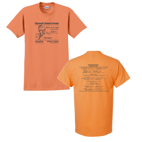Gildan Ultra Cotton Basic T-Shirt -- Tangerine
