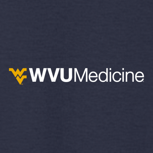 Gildan Heavy Cotton Longsleeve Basic T-Shirt -- Navy