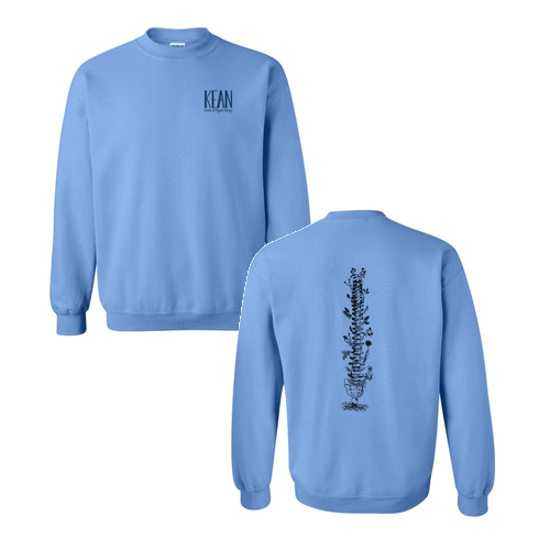 Gildan Heavy Blend Crew Neck Sweatshirt -- Carolina Blue