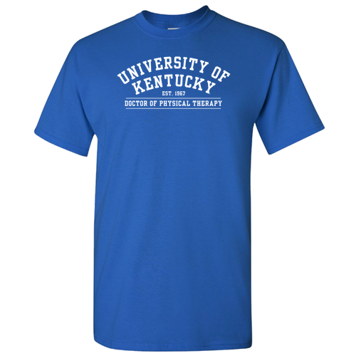 Gildan Cotton Basic T-Shirt -- Royal