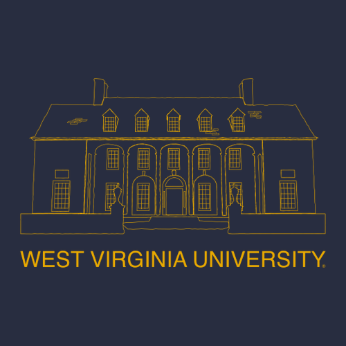 Comfort Colors Ringspun Long Sleeve Tee -- True Navy