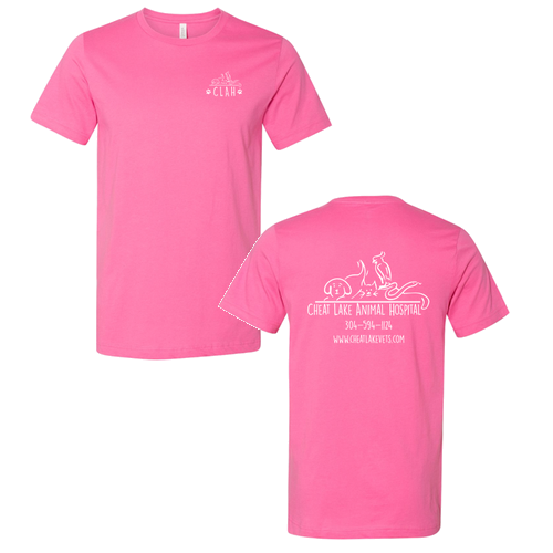 Bella Canvas Unisex Jersey T-Shirt -- Charity Pink