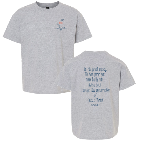 Youth Softstyle T-Shirt -- Sport Grey