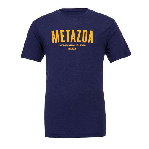 Bella Canvas Triblend Short Sleeve T-Shirt -- Navy TriBlend