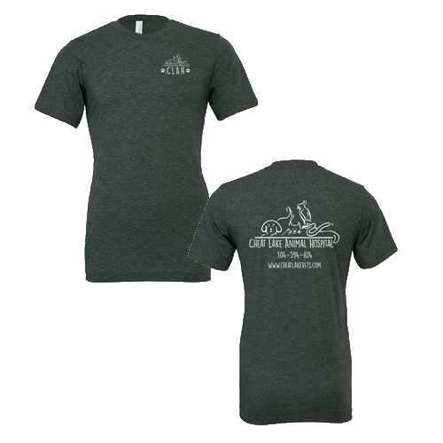 Bella Canvas Unisex Heather CVC T-Shirt -- Heather Forest