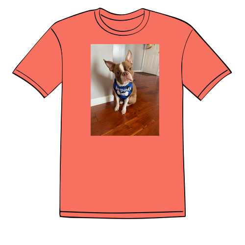 Gildan Heavy Cotton Missy Fit Tee -- Coral Silk