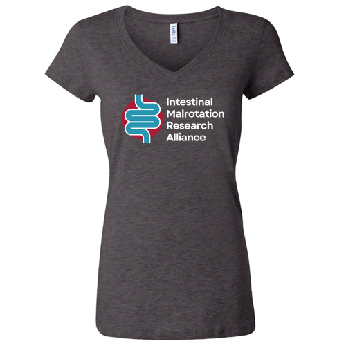 Ladies Bella Canvas Short Sleeve V-Neck T-Shirt -- Dark Grey Heather