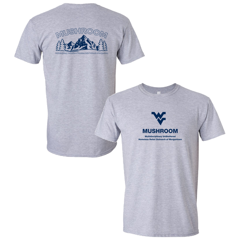 Gildan SoftStyle T-Shirt -- Sport Grey