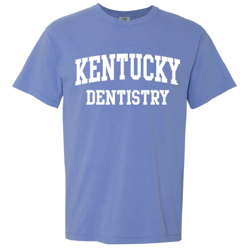 Comfort Colors Ringspun Garment Dyed T Shirt -- Mystic Blue