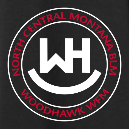 Carhartt Rain Defender Paxton Heavyweight Hooded Sweatshirt -- Black