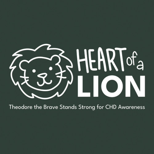 Gildan Adult Dryblend Adult Hooded Sweatshirt -- Forest Green