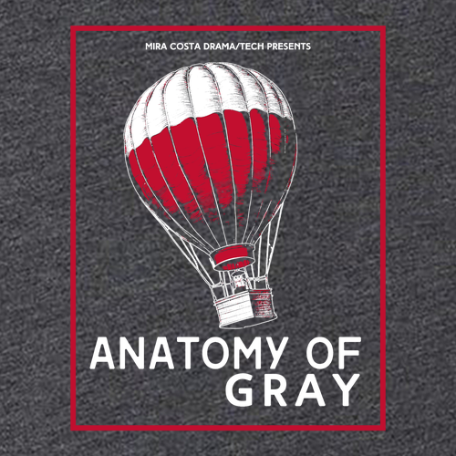 Port and Company 5.4 oz Cotton T-Shirt -- Dark Heather Grey*