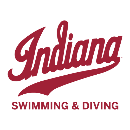 Gildan Heavy Cotton Ladies' V-Neck Tee -- White