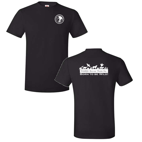 Hanes Perfect-T Ring Spun T-Shirt -- Black