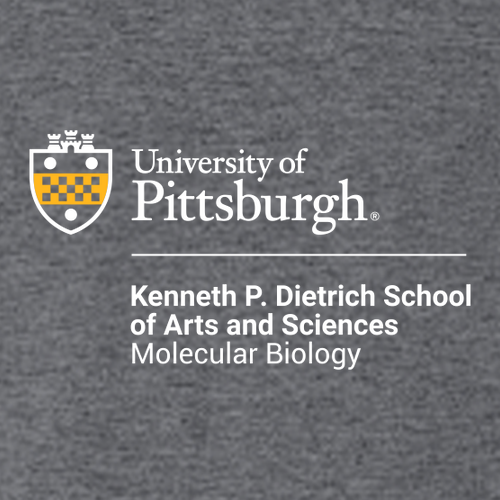 Molecular Biology Gildan Heavy Blend Crew Neck Sweatshirt -- Dark Heather