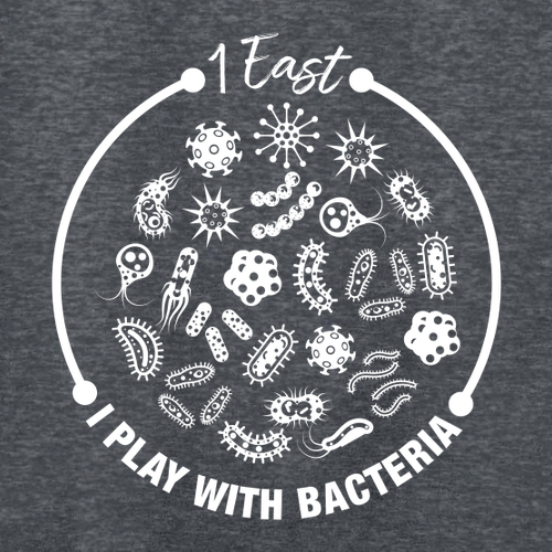 Gildan SoftStyle Fitted T-Shirt -- Dark Heather