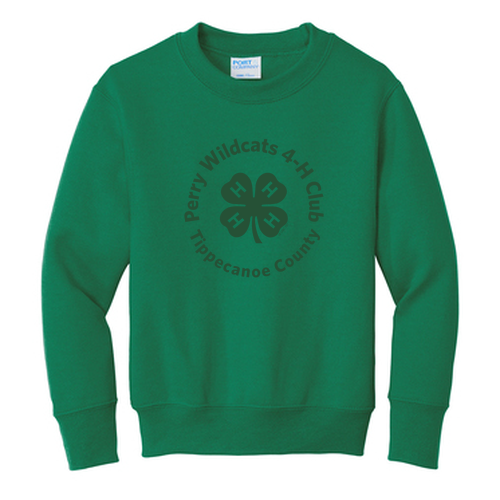 Port and Company Youth Crewneck Sweatshirt -- Kelly
