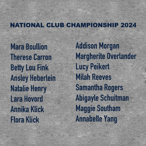 Ladies District Soft Fitted Perfect Tri Tee -- Grey Frost, U14