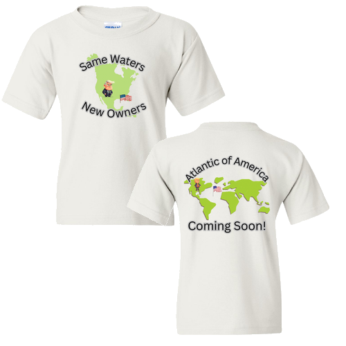 Gildan Heavy Cotton Basic Youth T-Shirt -- White