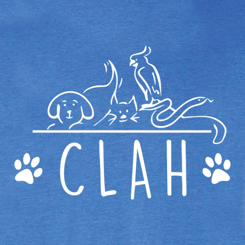 Bella+Canvas Unisex Heather Cvc Long Sleeve Tee- Heathers -- Heather True Royal