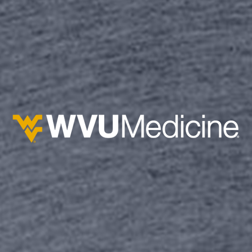 Charles River Mens Heathered Fleece Pullover -- Navy Heather