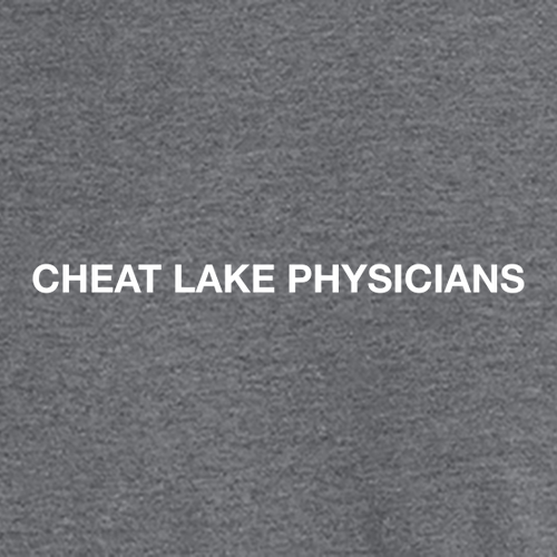 Screen Printed Gildan Heavy Cotton Longsleeve Basic T-Shirt -- Graphite Heather