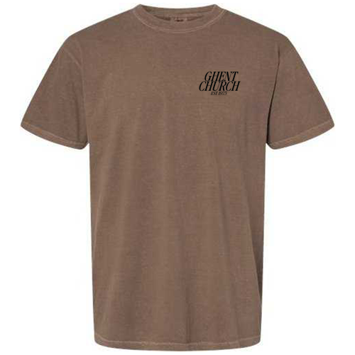 Comfort Colors Ringspun Garment Dyed T Shirt -- Espresso
