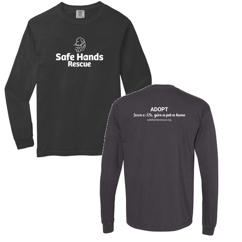 Comfort Colors Ringspun Long Sleeve Tee -- Graphite