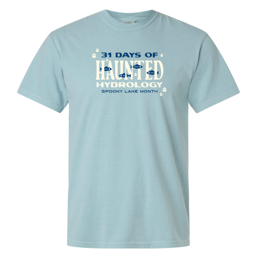 Comfort Colors Unisex Garment-Dyed Heavyweight T-Shirt -- Yankey Blue