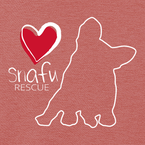 District Made Mens Perfect Tri Crew Tee -- Blush Frost