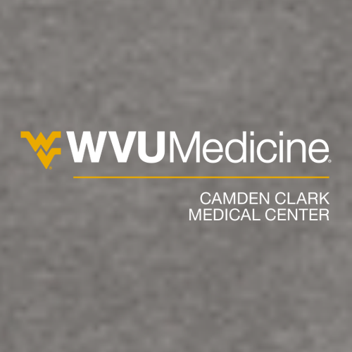 Gildan Heavy Cotton Basic T-Shirt -- Graphite Heather