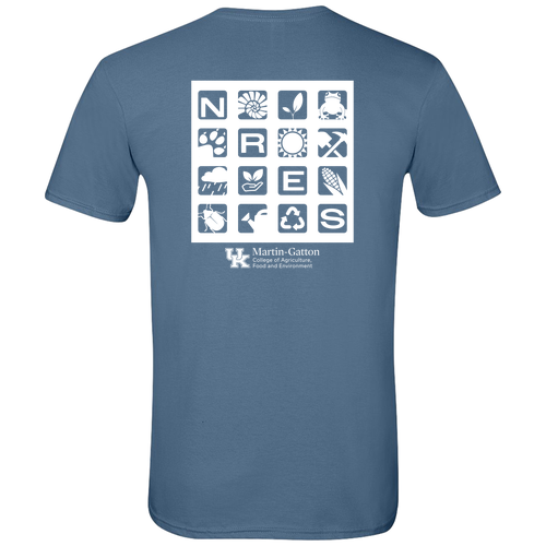 Gildan SoftStyle Fitted T-Shirt -- Indigo Blue