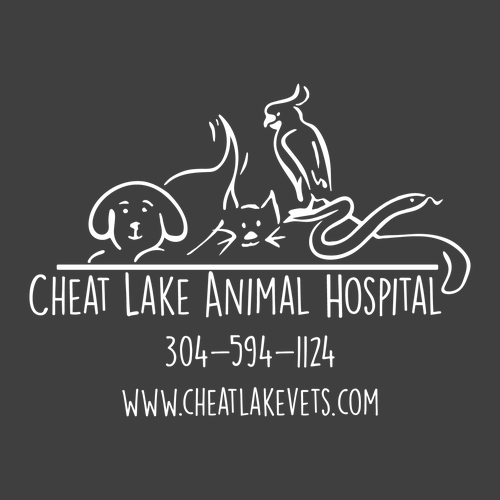 Bella Canvas Unisex Jersey Longsleeve Tee -- Teal