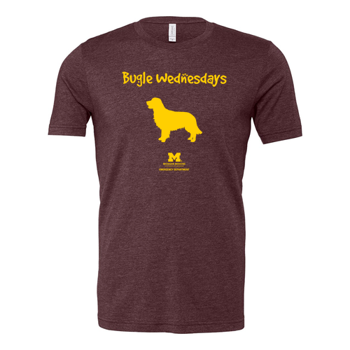 Mens/Unisex Bella Soft Fitted Canvas Soft Fitted Heather Jersey T-Shirt -- Heather Maroon
