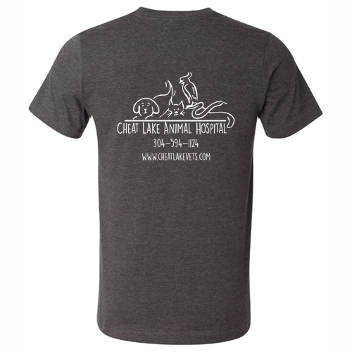Bella Canvas Unisex Heather CVC T-Shirt -- Dark Grey Heather