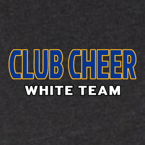 White Team Bella+Canvas Unisex Heather Cvc Long Sleeve Tee- Heathers -- Black Heather