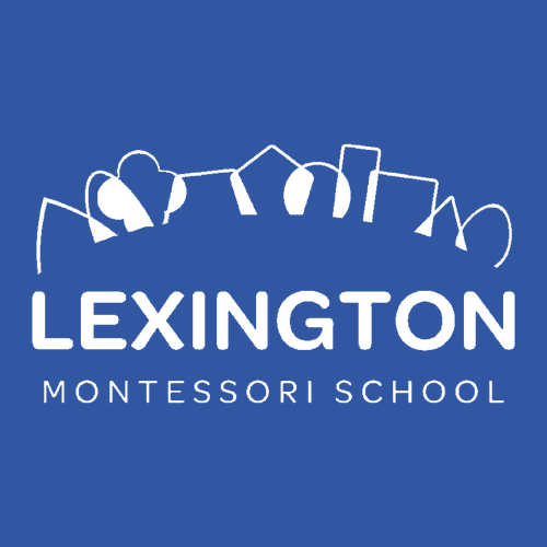 Gildan Heavy Blend Youth Crew Neck Sweatshirt -- Royal