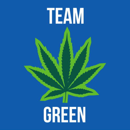 Team Green Embroidered Cap -- Blue