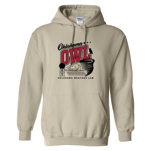 Gildan Heavy Blend Hooded Sweatshirt -- Sand