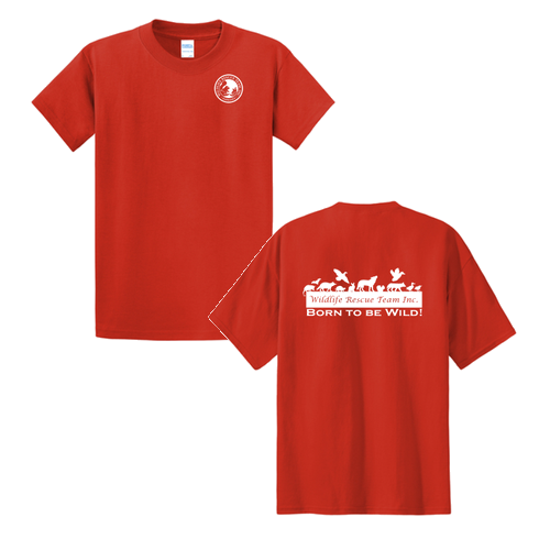 Port and Company Tall Cotton Tee -- Fiery Red