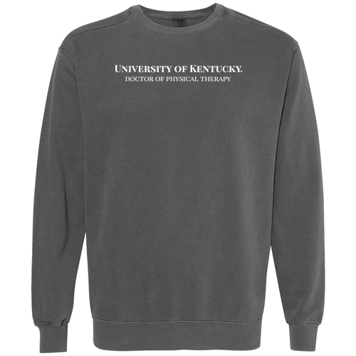 Comfort Colors Crewneck Sweatshirt -- Graphite