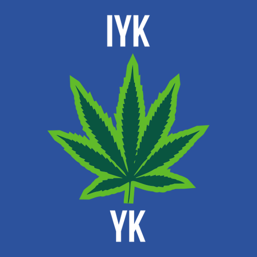 IYKYK Embroidered Polo -- Blue