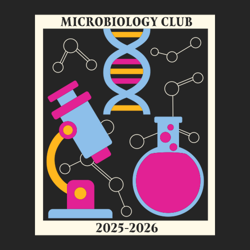 American Apparel Women's Fine Jersey Boxy Tee -- Black