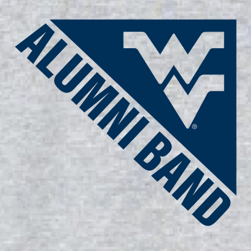 Gildan Heavy Cotton Basic T-Shirt -- Sport Grey