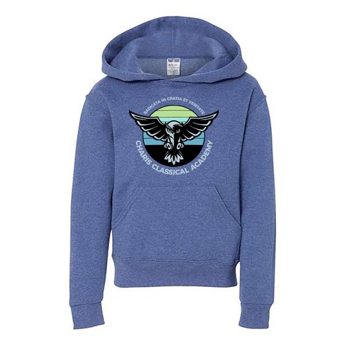 Charis Academy Youth Jerzees 50/50 Nublend Fleece Hoodie -- Vintage Heather Blue