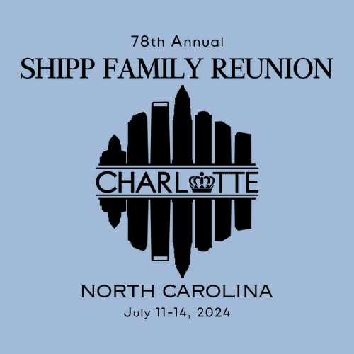 Toddler Light Blue Cotton Tee