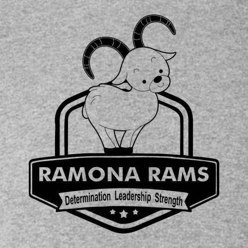 Hanes Essential ComfortSoft Short Sleeve Tee -- Light Steel