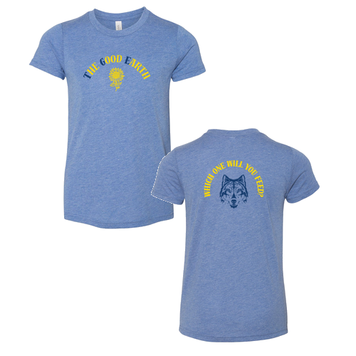 Bella Canvas Youth Triblend Jersey Short Sleeve Tee -- Blue Triblend